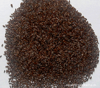 Psyllium seeds preparation